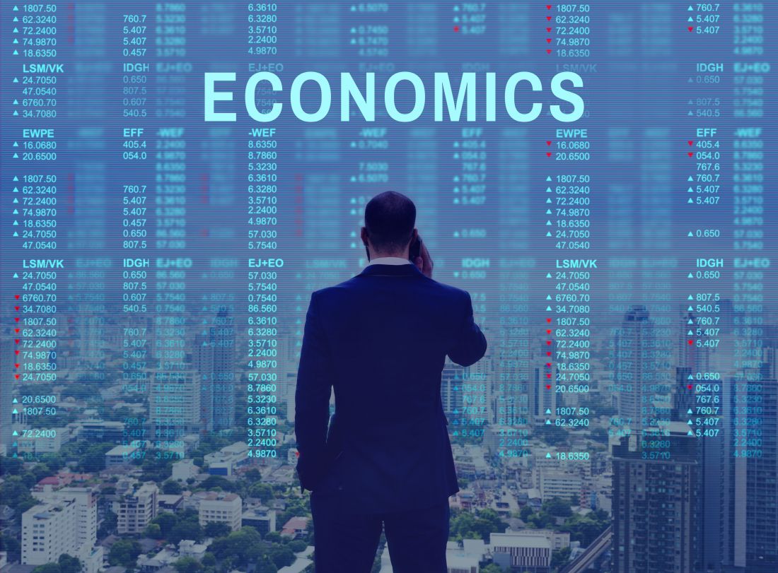 A closer look at economics studies at SANS